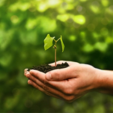sistema de gestão ambiental iso 14000 Jardim Virgínia sistema de gestão ambiental iso 14000 Jardim Virgínia