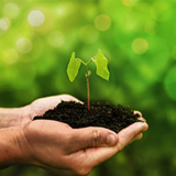 Sga Sistema de Gestão Ambiental Sga Sistema de Gestão Ambiental