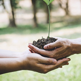 Sistema Integrado de Gestão Ambiental Sistema Integrado de Gestão Ambiental